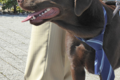 2015-08-22-Schmugglerfahrt-WEB-58