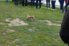 2021-05-08-Ansegeln-109