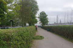 2021-05-29-Arbeiteinsatz-9