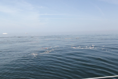 2021-08-13-Beisetzung-Uwe-36