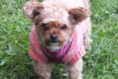 2021-08-28-VEREINfacht-helfen-2021-123