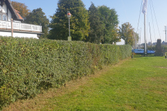 2021-09-25-Arbeitseinsatz-53