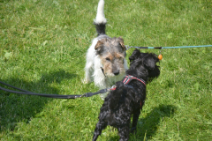 2022-06-18-Vereinfacht-helfen-HA-25