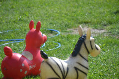 2022-06-18-Vereinfacht-helfen-HA-7