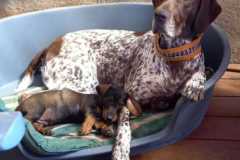 2022-06-18-Vereinfacht-helfen-X-3