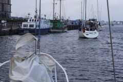 2023-08-26-Schmugglerfahrt-45