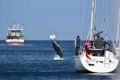 2023-08-26-Schmugglerfahrt-87