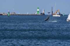 2023-08-26-Schmugglerfahrt-88