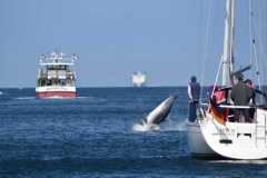 2023-08-26-Schmugglerfahrt-90