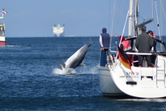 2023-08-26-Schmugglerfahrt-Web2