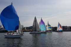 2024-09-07-61.BlauesBand-2024-254-