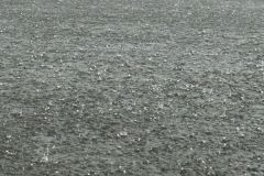 2025-06-07-Pfingstregatta-2025-11