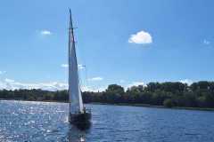 2025-09-06-Blaues-Band-2025-180