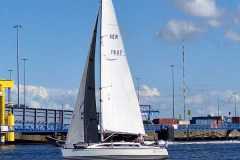 2025-09-06-Blaues-Band-2025-190