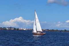 2025-09-06-Blaues-Band-2025-227