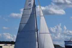 2025-09-06-Blaues-Band-2025-234