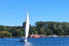 2025-09-06-Blaues-Band-2025-247