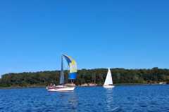 2025-09-06-Blaues-Band-2025-260