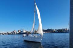 2025-09-06-Blaues-Band-2025-288