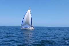 2023-05-27-Pfingstregatta-6